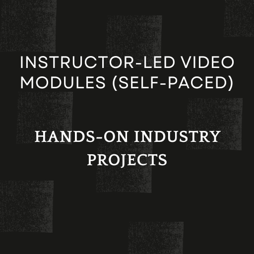 Instructor-led video modules (self-paced) (2)